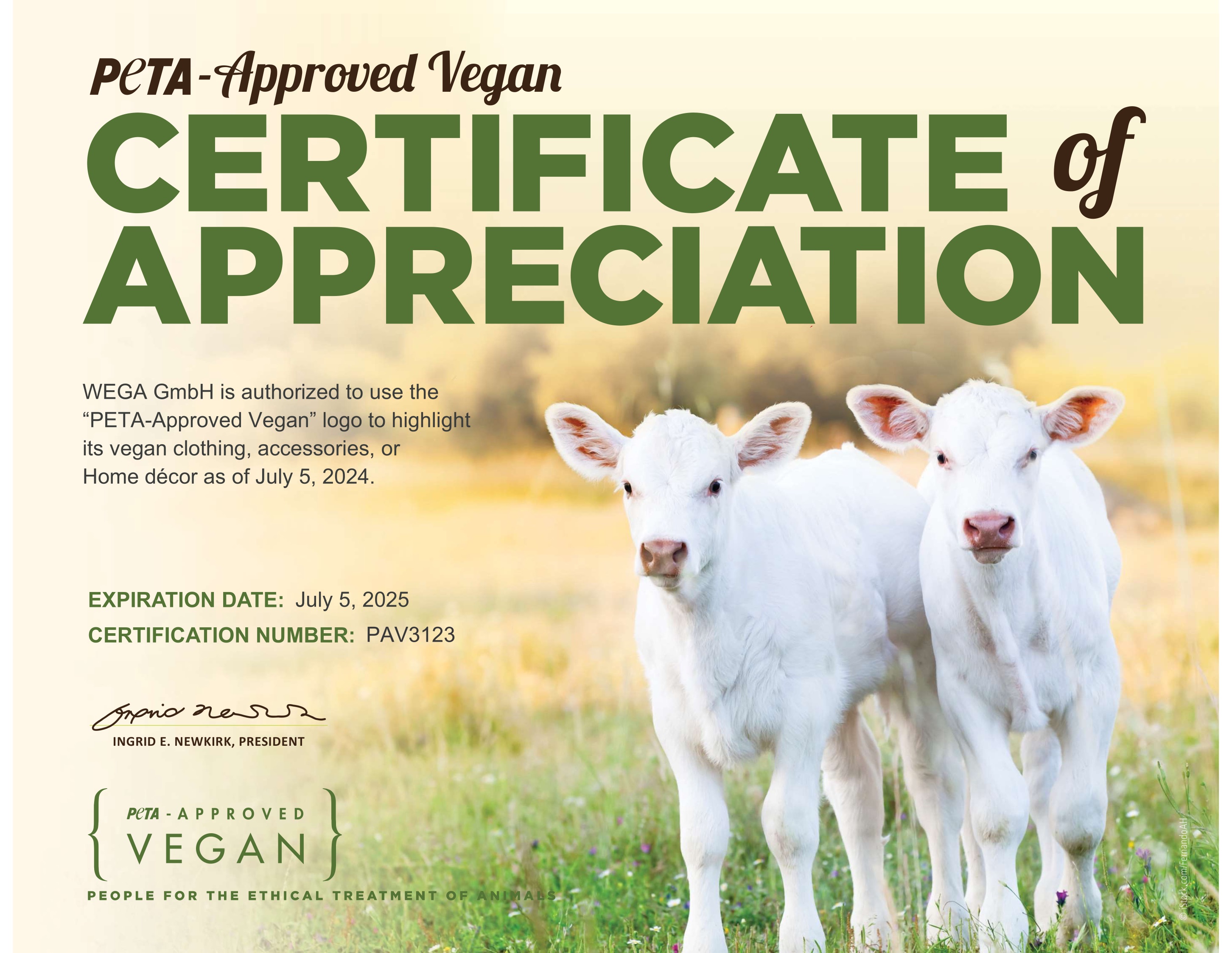 WEGA GREEN GOOSE TECHNOLOGIE